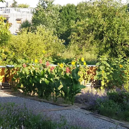 Agroturystyka U Joli Pacanow Eksteriør bilde